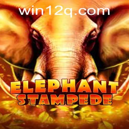 Discovering the Adventure of ElephantStampede